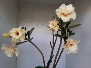 LEILÃO Nº 468 - Imagem 10