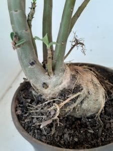 LEILÃO Nº 468 - Imagem 12