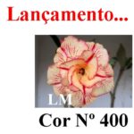 ENXERTO COR LM 400