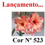 ENXERTO COR LM 523