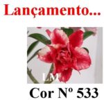 ENXERTO COR LM 533