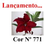 ENXERTO COR LM 771