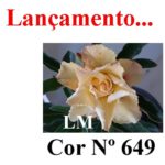 ENXERTO COR LM 649