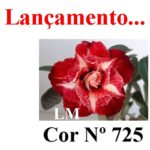 LEILÃO Nº 504 - Imagem 11