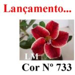 ENXERTO COR LM 733