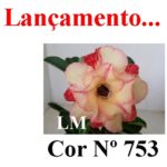ENXERTO COR LM 753