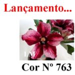ENXERTO COR LM 763