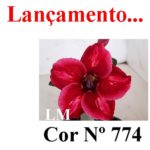 ENXERTO COR LM 774