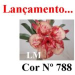 ENXERTO COR LM 788