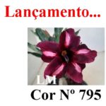 ENXERTO COR LM 795
