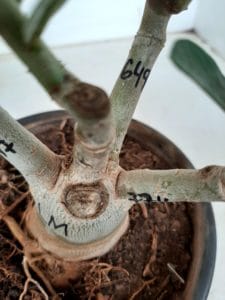 LEILÃO Nº 494 - Imagem 10