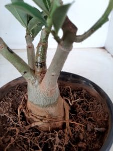 LEILÃO Nº 494 - Imagem 11