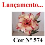 ENXERTO COR LM 574