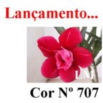 ENXERTO COR LM 707