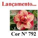 ENXERTO COR LM 792
