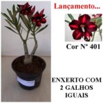 ENXERTO 6344 – 22cm  (cor LM 401)