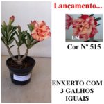 ENXERTO 6453 – 20cm  (cor LM 515)