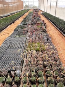 01 - Muitas NOVIDADES em breve.... - Imagem 3