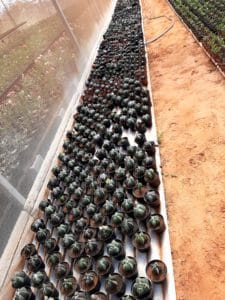 01 - Muitas NOVIDADES em breve.... - Imagem 88