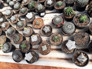 01 - Muitas NOVIDADES em breve.... - Imagem 87