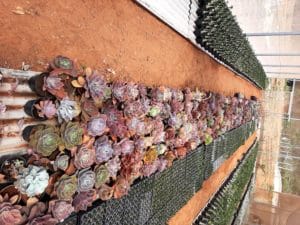 01 - Muitas NOVIDADES em breve.... - Imagem 5