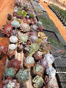 01 - Muitas NOVIDADES em breve.... - Imagem 86