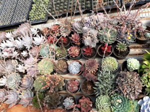 01 - Muitas NOVIDADES em breve.... - Imagem 84