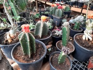 01 - Muitas NOVIDADES em breve.... - Imagem 80