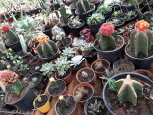 01 - Muitas NOVIDADES em breve.... - Imagem 78