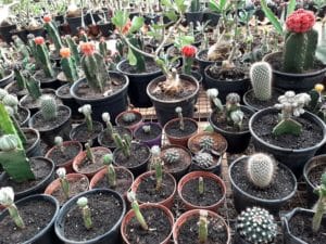 01 - Muitas NOVIDADES em breve.... - Imagem 77