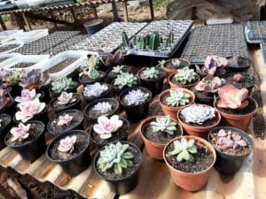 01 - Muitas NOVIDADES em breve.... - Imagem 71