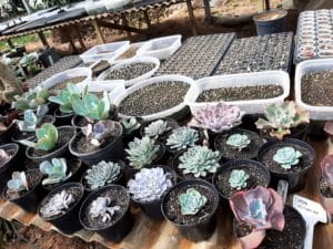 01 - Muitas NOVIDADES em breve.... - Imagem 70