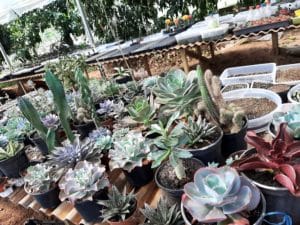 01 - Muitas NOVIDADES em breve.... - Imagem 69