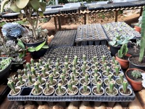 01 - Muitas NOVIDADES em breve.... - Imagem 67