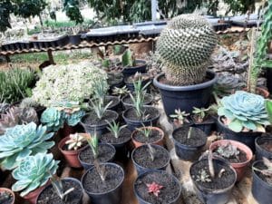 01 - Muitas NOVIDADES em breve.... - Imagem 66