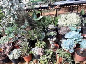 01 - Muitas NOVIDADES em breve.... - Imagem 65