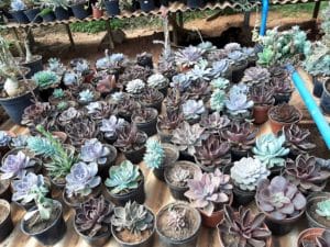 01 - Muitas NOVIDADES em breve.... - Imagem 63