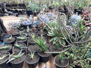 01 - Muitas NOVIDADES em breve.... - Imagem 62