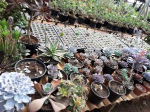 01 - Muitas NOVIDADES em breve.... - Imagem 60