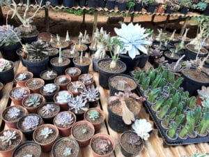 01 - Muitas NOVIDADES em breve.... - Imagem 59