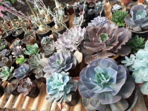 01 - Muitas NOVIDADES em breve.... - Imagem 54