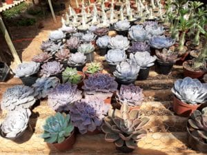 01 - Muitas NOVIDADES em breve.... - Imagem 52