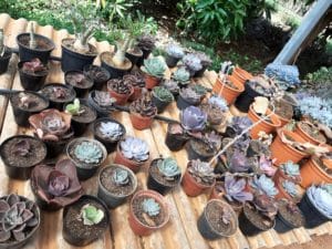 01 - Muitas NOVIDADES em breve.... - Imagem 51