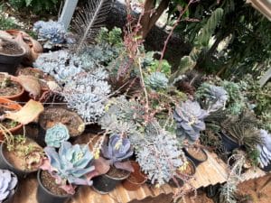 01 - Muitas NOVIDADES em breve.... - Imagem 50