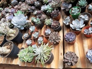 01 - Muitas NOVIDADES em breve.... - Imagem 48