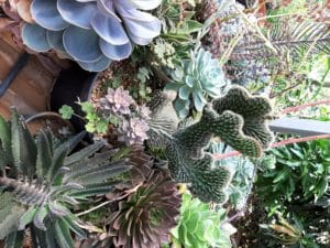 01 - Muitas NOVIDADES em breve.... - Imagem 47