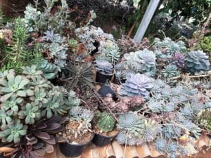 01 - Muitas NOVIDADES em breve.... - Imagem 45