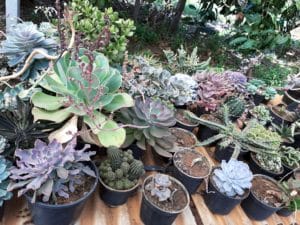 01 - Muitas NOVIDADES em breve.... - Imagem 44