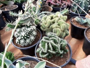 01 - Muitas NOVIDADES em breve.... - Imagem 42