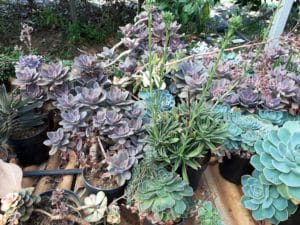 01 - Muitas NOVIDADES em breve.... - Imagem 40